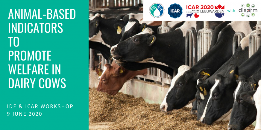 POSTPONEMENT of ICAR/IDF Workshop: Animal-based indicators to promote  welfare in dairy cows - IDF - IDF is the leading source of scientific and  technical expertise for all stakeholders of the dairy chain